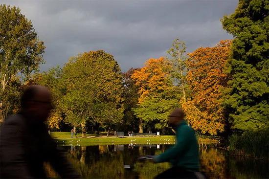 Cảnh những người đạp xe đạp đi làm ngang qua công viên Vondelpark ở Amsterdam, Hà Lan