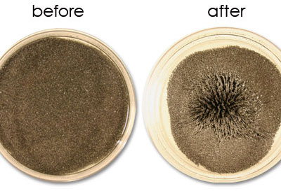 Chất lỏng MR sau khi có tác động của từ trường