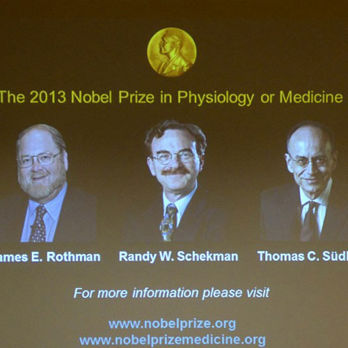 ames Rothman, Randy Schekman và Thomas Sudhof