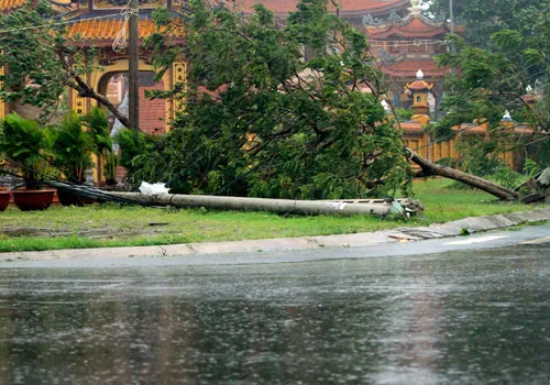 ...cột điện bị quật ngã.