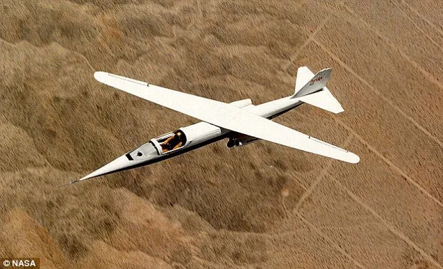 Máy bay cánh chéo AD-1