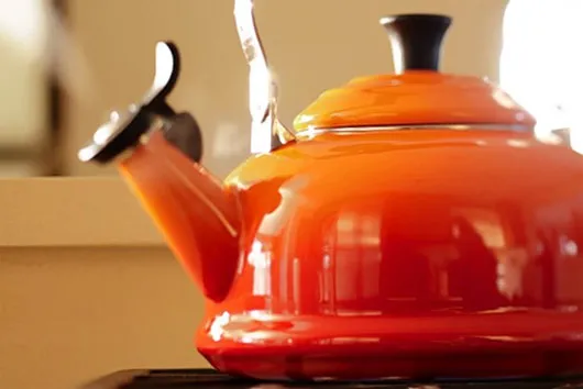 Giải mã bí ẩn 100 năm về ấm nước hú còi