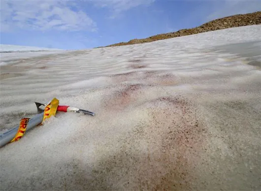 Vùng đất băng giá giàu tiềm năng Greenland