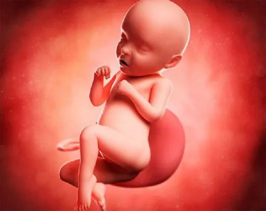 Ngủ rất nhiều khi chưa có cả mí mắt