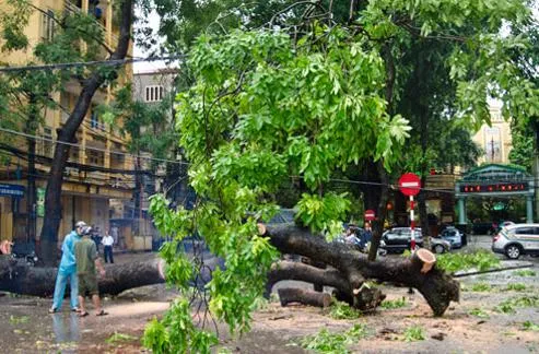 Nguy cơ bão Haiyan đổ bộ và gây thiệt hại cho Hà Nội là rất lớn