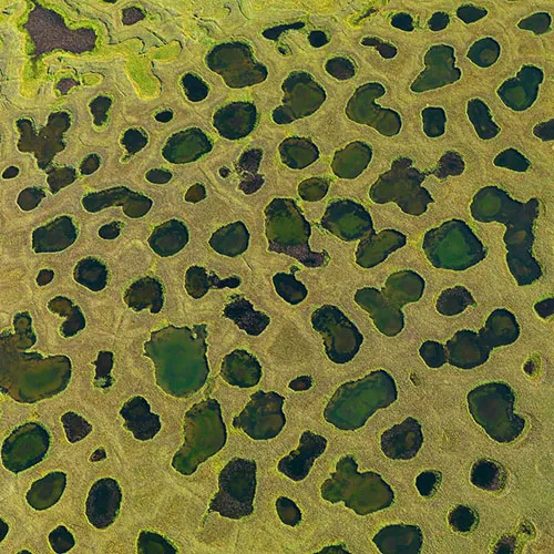 Khu vực Lena, Siberia