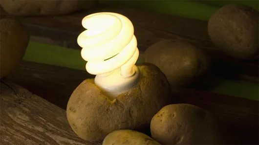 Các nhà khoa học đang cố tạo ra một nguồn điện áp thấp từ khoai tây