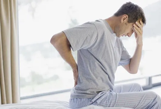Nhà sinh thái học Mỹ Ellis Silver cho rằng, việc con người có lưng yếu và hay bị đau lưng là do chúng ta đã tiến hóa trên một hành tinh có trọng lực thấp hơn Trái đất