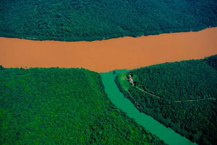 Sông Rio Uruguay và một nhánh của nó - Argentina