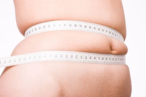 Công nghệ cấy ghép mạch điều tiết gene chữa béo phì