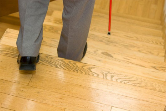 Gậy sóng âm dựa trên loài dơi