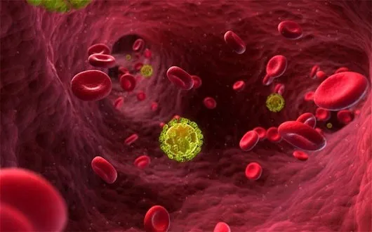 Virus HIV tiêu diệt tế bào bạch cầu, làm suy giảm hệ miễn dịch của cơ thể