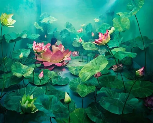 Sự hồi sinhh