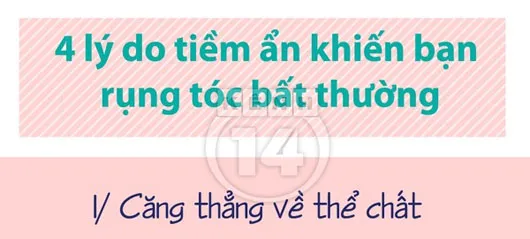 Lý do "không ai ngờ" khiến tóc rụng nhiều bất thường