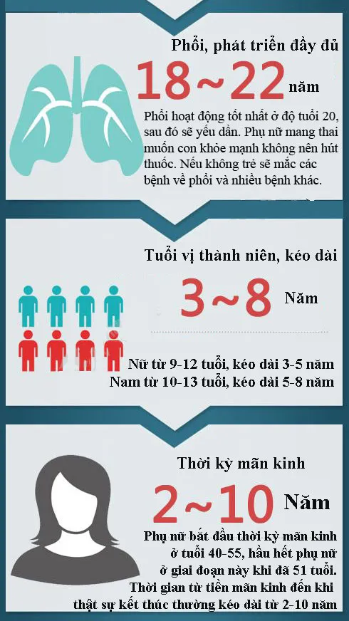 Chu kỳ hoạt động của các bộ phận trong cơ thể