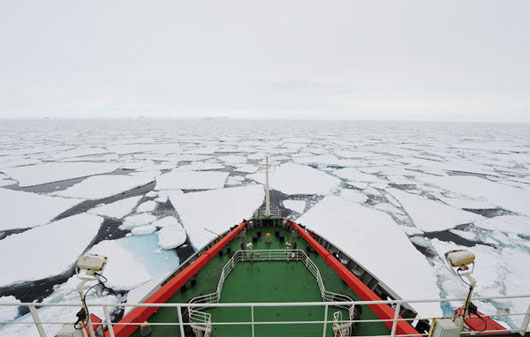 Tàu phá băng của Trung Quốc mang theo đoàn thám hiểm gồm 256 thành viên tiến về Nam Cực hôm 7/11.
