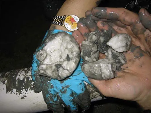 Số khí methane ở trong những thỏi nước đá này, được cho là nhiều gấp đôi lượng carbon tìm thấy ở nhiên liệu hóa thạch trên trái đất