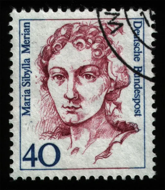 Maria Sibylla Merian trên tem thư của nước Đức