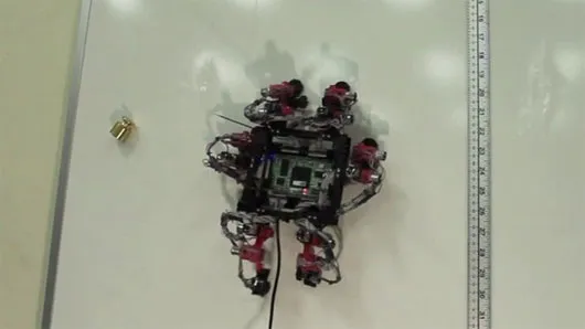 Mô hình robot thằn lằn