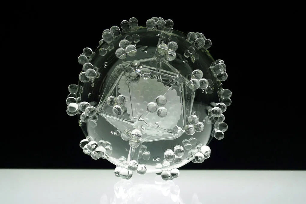 Virus HIV (2011)