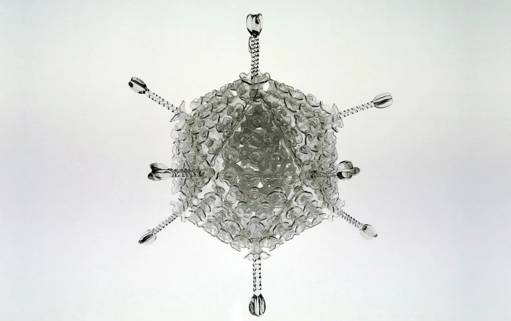 Virus Adeno