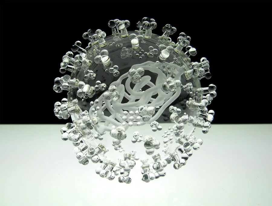 Virus H1N1 gây bệnh cúm lợn