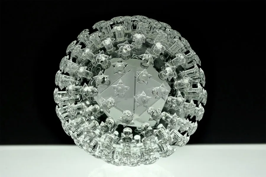 Virus Papilloma
