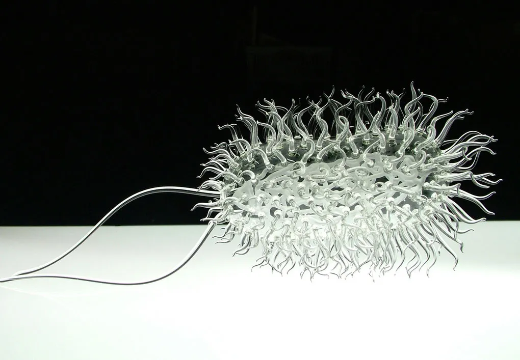 Vi khuẩn E. Coli