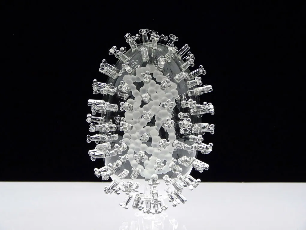 Virus gây bệnh cúm lợn