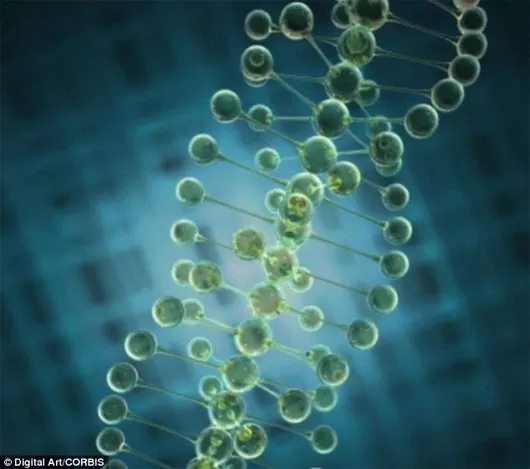 Người châu Âu có làn da trắng nhờ biến đổi gene