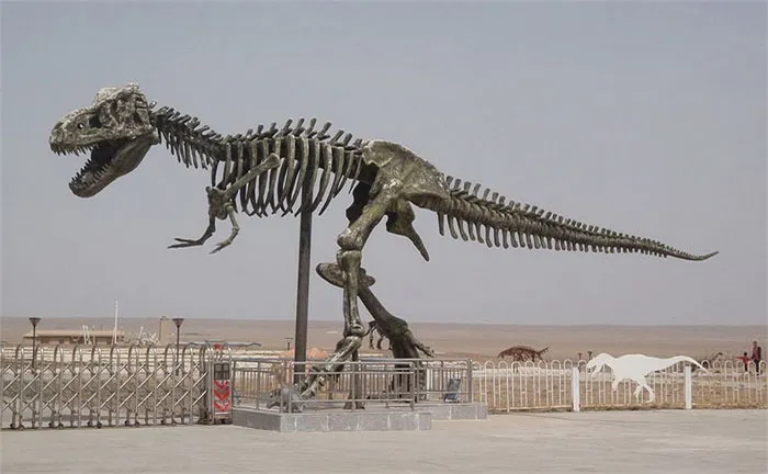 Mô hình khung xương của khủng long bạo chúa Tyrannosaurus