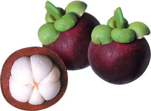 Những loại trái cây tốt cho mắt