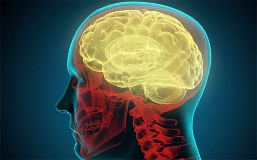 Những siêu máy tính mạnh mẽ nhất hành tinh vẫn nhỏ bé khi đứng cạnh bộ não con người