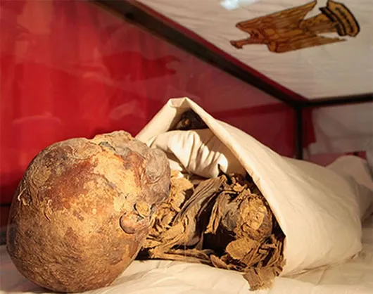 Xác ướp nữ hoàng Hatshepsut