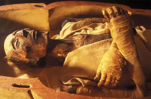 Xác ướp pharaoh Ramesses II