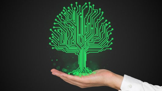 PLEASED - dự án biến cây cối thành cảm biến sinh học đa mục đích