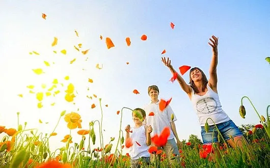 ...không đồng nghĩa với hạnh phúc.