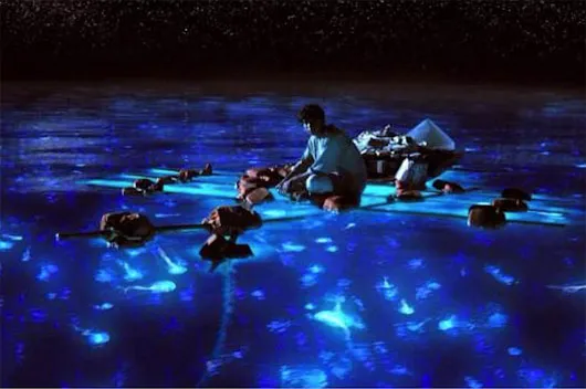 Bộ phim năm 2012 “Cuộc đời của Pi” (Life of Pi), có cảnh ánh sáng xanh trên biển về đêm vây quanh bè gỗ của Pi và con cá voi phát sáng nhảy lên khỏi mặt nước.
