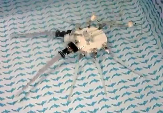 Robot bạch tuộc