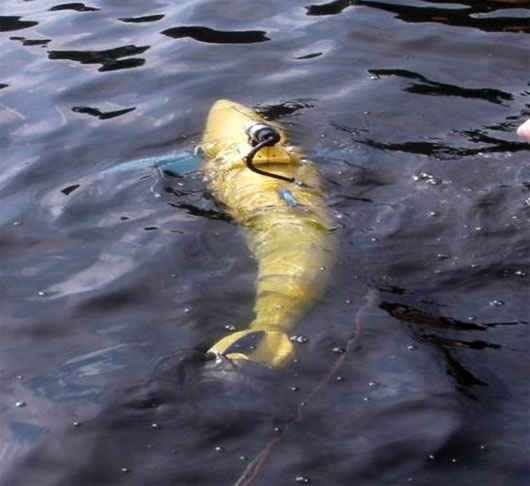 Robot cá ngừ BIOSwimmer