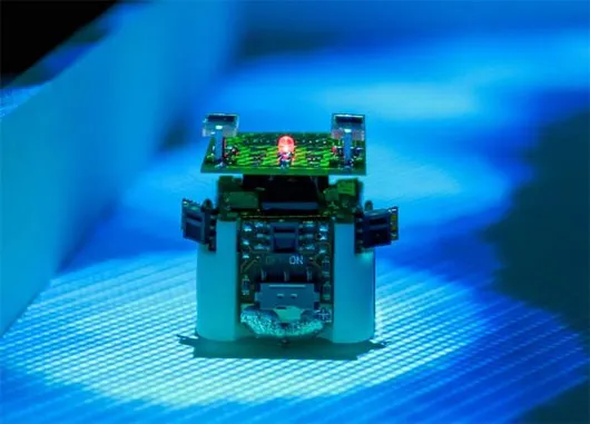 Robot kiến Alice