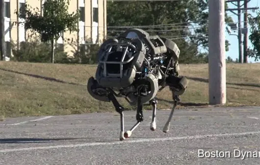 Robot quân sự Mèo hoang