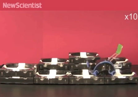 Robot lấy cảm hứng từ mối tự xây dựng công trình