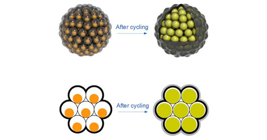 Cách thức bố trí các noãn carbon với sợi nano carbon bên trong được lấy cảm hứng từ quả lựu