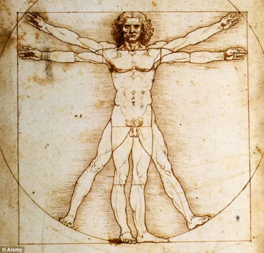 Bức “Người Vitruvius” với một chỗ phình nhẹ phía trên phần bên trái háng