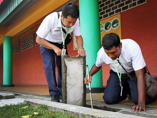 Nhân viên NEA tìm kiếm các điểm muỗi sinh sản