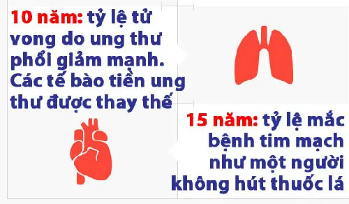 Lợi ích của việc bỏ thuốc lá