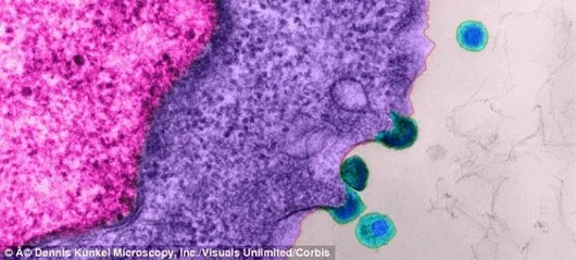 Thành tựu mới: Thuốc kháng virus HIV chỉ với 1 mũi tiêm