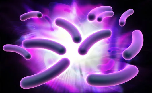 Phát hiện vi khuẩn "ăn" electron