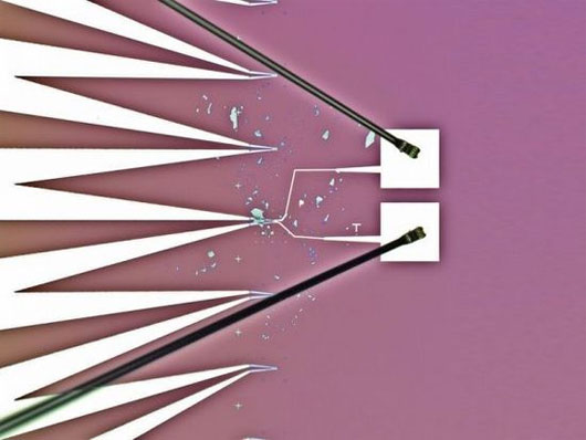 Chế tạo tế bào quang năng dẻo, bán trong suốt từ vật liệu siêu mỏng